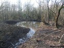 Fully restored pond at Mottistone Common